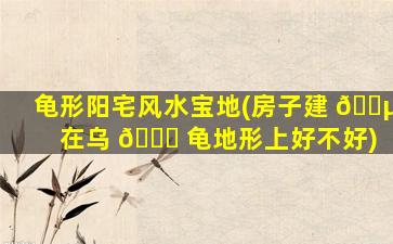 龟形阳宅风水宝地(房子建 🌵 在乌 💐 龟地形上好不好)